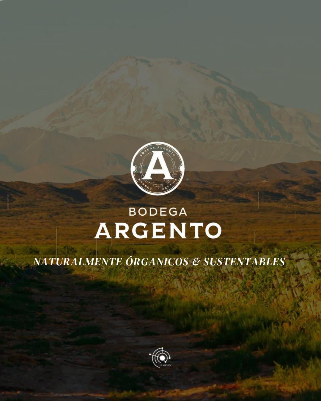 Bodega Argento