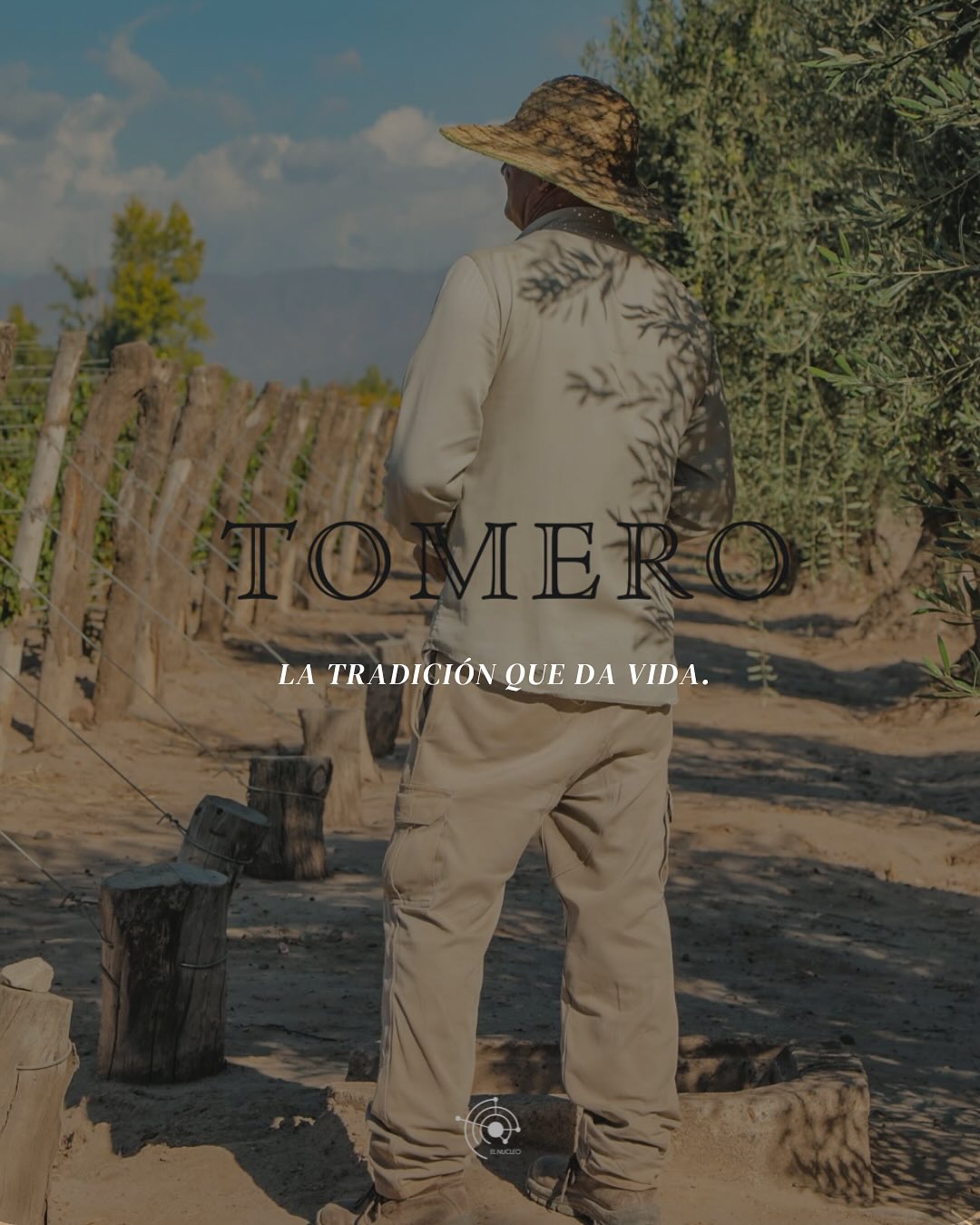 Bodega Tomero