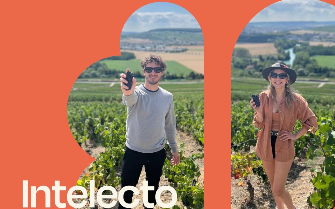 Intelecto/Pasión 🧠❤️