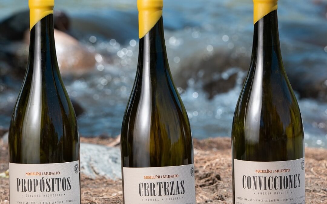 ✨ Certezas, Propósitos y Convicciones 🍷✨