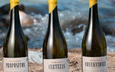 ✨ Certezas, Propósitos y Convicciones 🍷✨